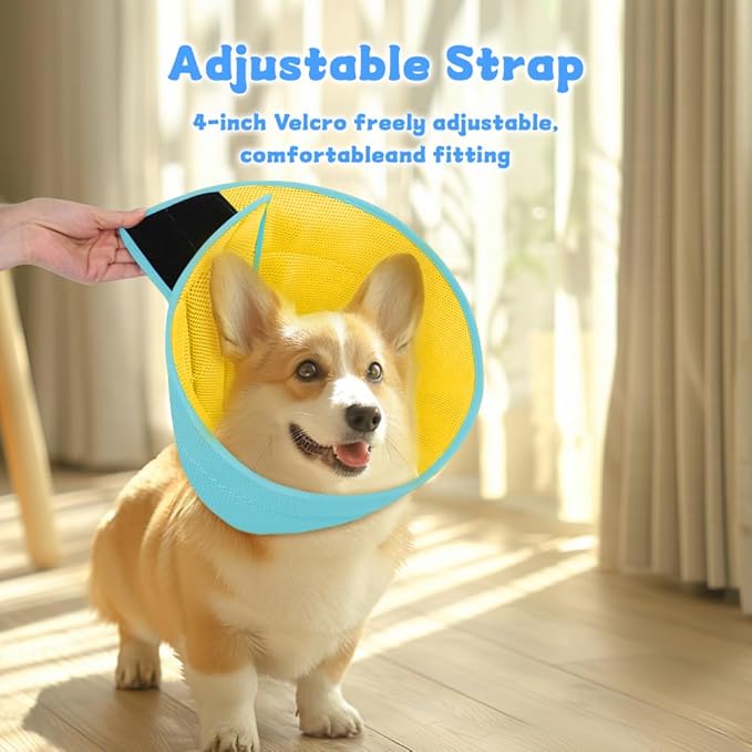 Soft Dog Cone Recovery Collars &amp; Cones After Surgery for Medium Large Dogs, Comfy Ecollars to Stop Licking, Adjustable, Dog Ecollars for Recovery Plastic: Superior Support Fabric: Soft Comfort, XL