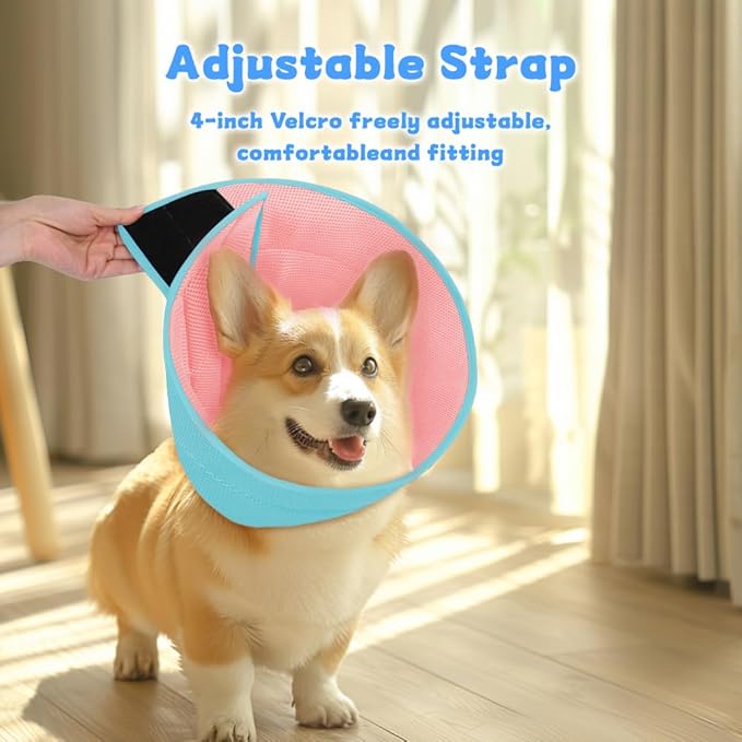 Dog Cone Soft Recovery Collars &amp; Cones After Surgery for Medium Large Dogs, Comfy Ecollars to Stop Licking, Adjustable, Dog Ecollars for Recovery Fabric: Soft Comfort, Ecollars of Shame Alternatives
