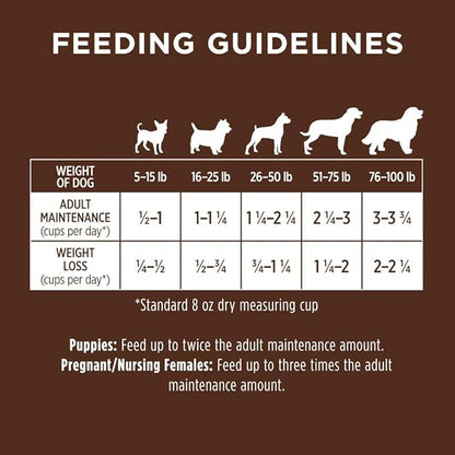 Original Salmon Dry Dog Food, 20 lb. Bag