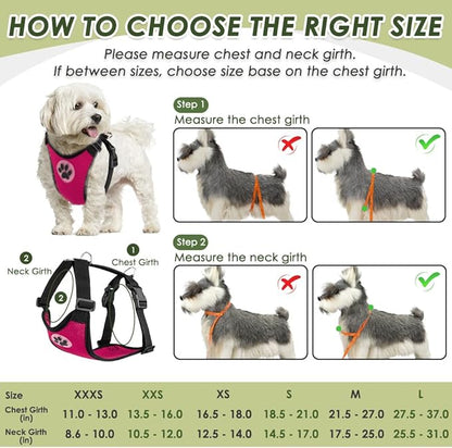 SlowTon Dog Seat Belt Harness for Car, Dog Car Harness Adjustable Mesh Breathable &amp; Dog Seatbelt Safety Tether with Elastic Bungee for Small Medium Large Pets(Fuchsia, Double Clip, L)