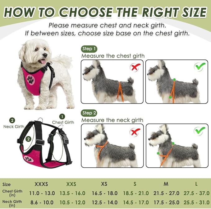 SlowTon Dog Seat Belt Harness for Car, Dog Car Harness Adjustable Mesh Breathable &amp; Dog Seatbelt Safety Tether with Elastic Bungee for Small Medium Large Pets(Fuchsia, Double Clip, XS)
