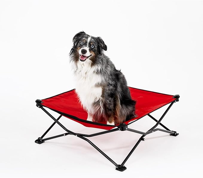 Coolaroo On-The-Go Elevated Dog Bed - Foldable Pop-Up Travel Dog Bed with Breathable, Moisture-Resistant Fabric, Carry Bag Included, Lightweight &amp; Portable, Red, Medium