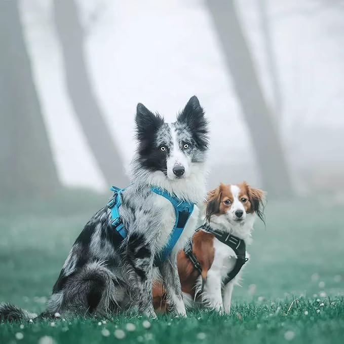 TRUE LOVE Truelove Adjustable No-Pull Dog Harness Reflective Pup Vest Harnesses Comfortable Control Brilliant Colors TLH5651(Blue,XS)