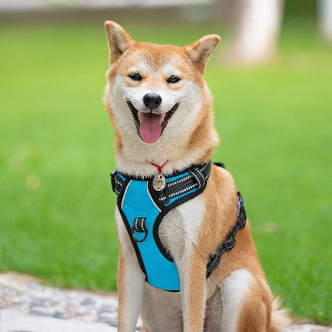 PoyPet No Pull Dog Harness, Reflective Comfortable Vest Harness with Front &amp; Back 2 Leash Attachments and Easy Control Handle Adjustable Soft Padded Pet Vest for Small to Large Dogs (Blue,S)