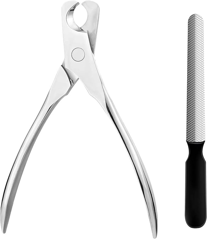 Cat Nail Clippers by,Small Breed Animals Claw Trimmer for a Cat, Puppy,Rabbit, Hamster, Birds, Kitten &amp; Small Dog,Parrots, Chinchillas, Guinea Pigs,Sharp &amp; Safe