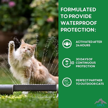 Apex Plus Cat Flea and Tick Treatment | 6-Month Supply, Over 1.5 lbs | Flea Treatment for Cats &amp; Kittens | 24-Hour Activation, Waterproof, 30-Day Protection