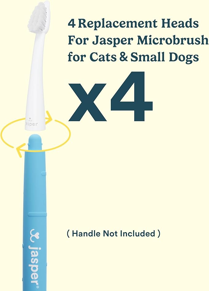 Jasper Microbrush Cat Toothbrush, Soft-Bristled Toothbrush Kit for Felines &amp; Small Dogs, Non-Slip Handle with 2 Replaceable Brush Heads, Use with Cat Toothpaste (Microbrush, Brush Heads Only)