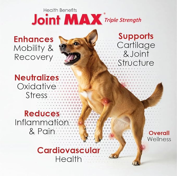Liquid for Dogs - Vitamins, Minerals, Antioxidants - Glucosamine, Chondroitin - Beef Flavor - Maximum Joint Health Supplement for Dogs - 32 fl oz