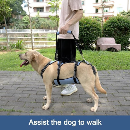 Coodeo Dog Lift Harness, Full Body Support &amp; Recovery Sling, Pet Rehabilitation Lifts Vest for Old Dog with Arthritis Walk(Bule,L)