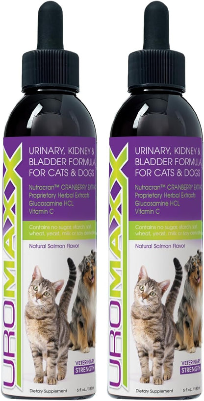 Cat &amp; Dog Urinary Tract Treatment, Bladder &amp; Kidney Support for Dogs and Cats, Powerful Yet Gentle Pet Care, with Liquid Cranberry &amp; Glucosamine, Salmon Flavor, 6 oz Bottle, 2 Pack