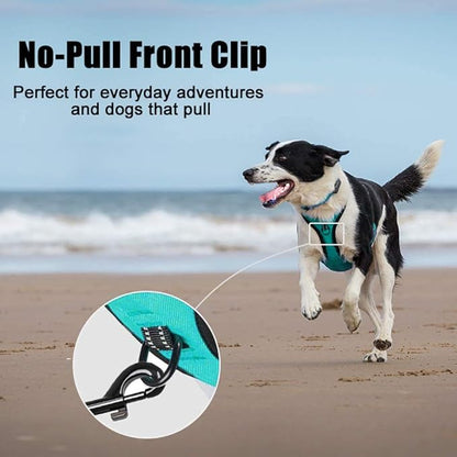 PoyPet No Pull Dog Harness, Reflective Comfortable Vest Harness with Front &amp; Back 2 Leash Attachments and Easy Control Handle Adjustable Soft Padded Pet Vest for Small to Large Dogs (Mint Blue,XS)