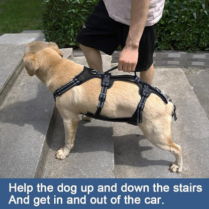 Coodeo Dog Lift Harness, Support &amp; Recovery Sling, Pet Rehabilitation Lifts Vest Adjustable Breathable Straps for Old, Disabled, Joint Injuries, Arthritis, Paralysis Dogs Walk (Black,M)
