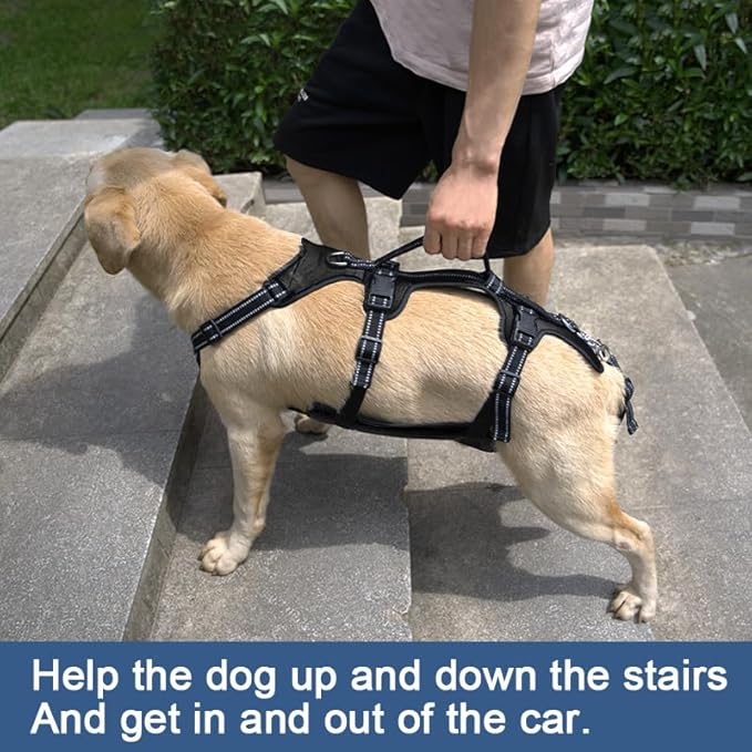 Coodeo Dog Lift Harness, Support &amp; Recovery Sling, Pet Rehabilitation Lifts Vest Adjustable Breathable Straps for Old, Disabled, Joint Injuries, Arthritis, Paralysis Dogs Walk (Black,L)
