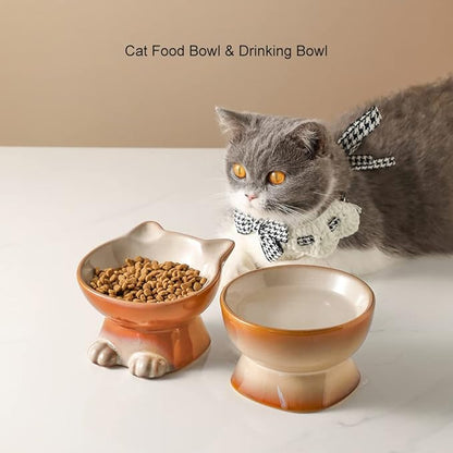 Nihow Elevated Cat/Dog Bowls Set : 5 Inch Ceramic Raised Cat Food &amp; Water Bowl Set for Protecting Pet&