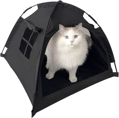 Cat Tent House、Cat&