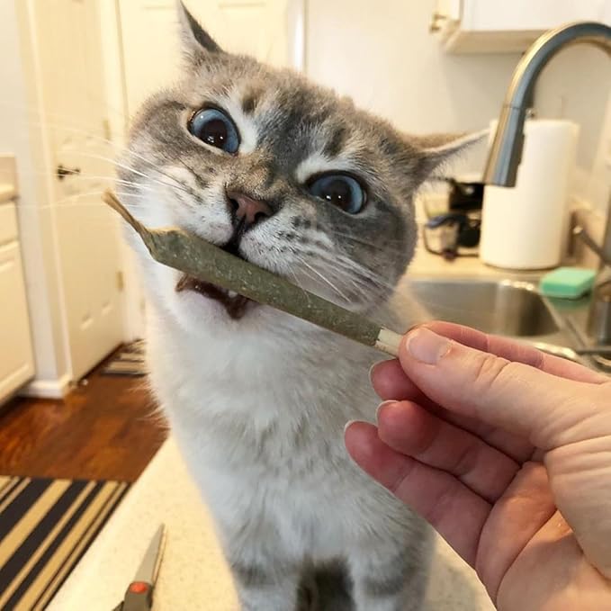 Meowijuana | King Size Catnip Joints | Organic | Dried Premium Ground Catnip | High Potency | Grown in North America | Feline and Cat Lover Approved