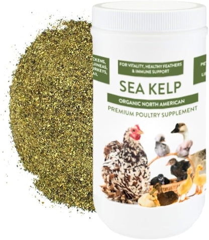 Organic Kelp for Chickens &amp; Duck Feed (5 Pound): Chicken Vitamins | Chicken Supplements | Vitamins for Chickens | Pampered Chicken Mama
