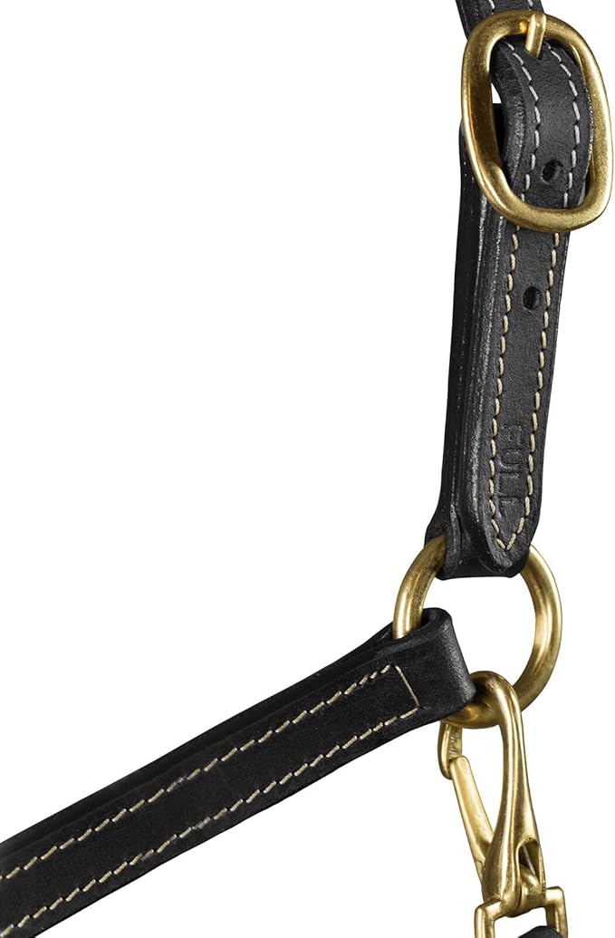HORZE Fremont Soft Synthetic Leather Horse Halter | Fully Adjustable with Brass Hardware &amp; Contrast Stitching - Black - Horse