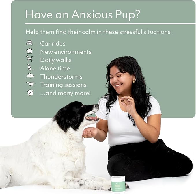 Reggie Anytime Calming Chews for Dogs | Natural Calming Dog Treats to Reduce Hyperactivity, Separation Anxiety, &amp; Stress | Vet-Approved &amp; Ideal for All Ages, Breeds, and Sizes (120 Count)