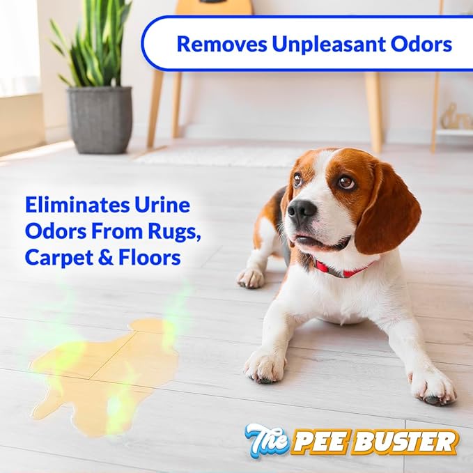 Generic Peebuster Pet Stain &amp; Odor Remover - Cleaning Spray for Dog and Cat Urine, 1 Count (Pack of 1)