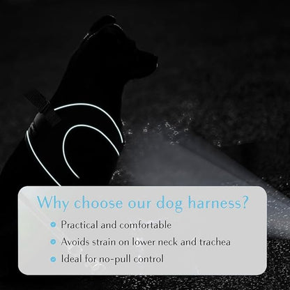 Comfort Fit Dog Harness Soft Padded No Pull Harness with Adjustable Buckles for Small Medium Large Dogs Step in Pet Vest with Easy Control Handle for Walking Jogging Running Training Dogs &amp; Puppies