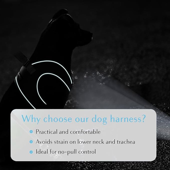 Comfort Fit Dog Harness Soft Padded No Pull Harness with Adjustable Buckles for Small Medium Large Dogs Step in Pet Vest with Easy Control Handle for Walking Jogging Running Training Dogs &amp; Puppies