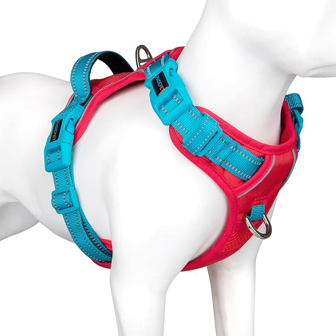 PHOEPET No Pull Dog Harness, Unique Colors Reflective Adjustable Dog Vest, with Soft Training Handle Metal Clips for Small Medium Large Dogs (Red Base &amp; Teal Straps,M)