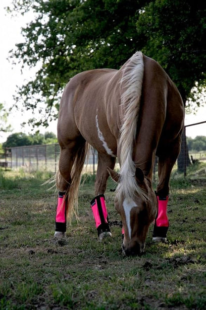 Warrior Fly Boots for Horses - Breathable Mesh Horse Boots for Fly Protection &amp; Leg Comfort - Set of 4 (The Warrior, Neon Pink)