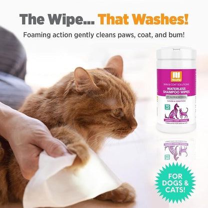 Nootie Waterless Shampoo Wipes for Dogs &amp; Cats - Long Lasting Japanese Cherry Blossom Fragrance - Sold in Over 10,000 Vet Clinics and Pet Stores Worldwide, Made in USA - 70 Count
