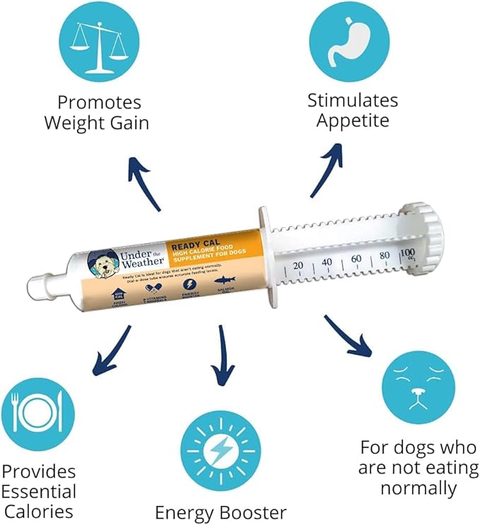 Under the Weather Pet | Ready Cal for Dogs 100cc | High Calorie Supplement | Dog Weight Gainer and High Calorie Booster | 10 Vitamins, 7 Minerals &amp; Omega Fatty Acids (2 Pack)