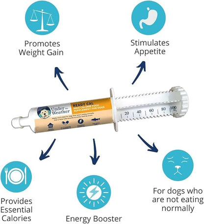 Under the Weather Pet | Ready Cal for Dogs 100cc | High Calorie Supplement | Dog Weight Gainer and High Calorie Booster | 10 Vitamins, 7 Minerals &amp; Omega Fatty Acids (2 Pack)