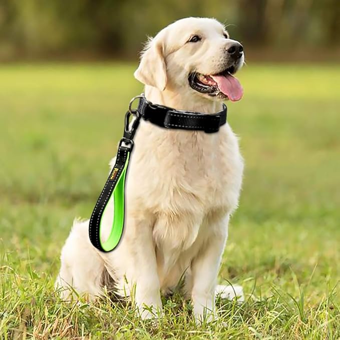 PLUTUS PET 10 Inch Short Dog Leash for Large Dogs with Locking Carabiner Clip &amp; Padded Handle（10”, Black）