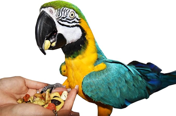 Birds LOVE All Natural Garden Blend Bird Food for Parrots 2lb