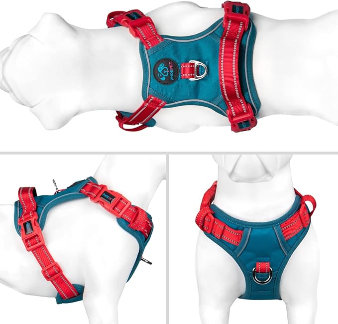 PHOEPET No Pull Dog Harness, Unique Colors Reflective Adjustable Dog Vest, with Soft Training Handle Metal Clips for Small Medium Large Dogs (Teal Base &amp; Red Straps,XS)