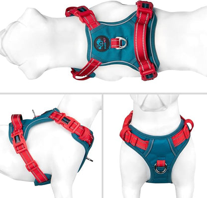 PHOEPET No Pull Dog Harness, Unique Colors Reflective Adjustable Dog Vest, with Soft Training Handle Metal Clips for Small Medium Large Dogs (Teal Base &amp; Red Straps,XS)