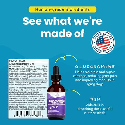 Liquid Glucosamine for Small Dogs, 260mg Glucosamine Liquid for Dogs Joint Supplement for Mobility &amp; Comfort, Easy-to-Use Liquid MSM &amp; Chondroitin, 2 oz