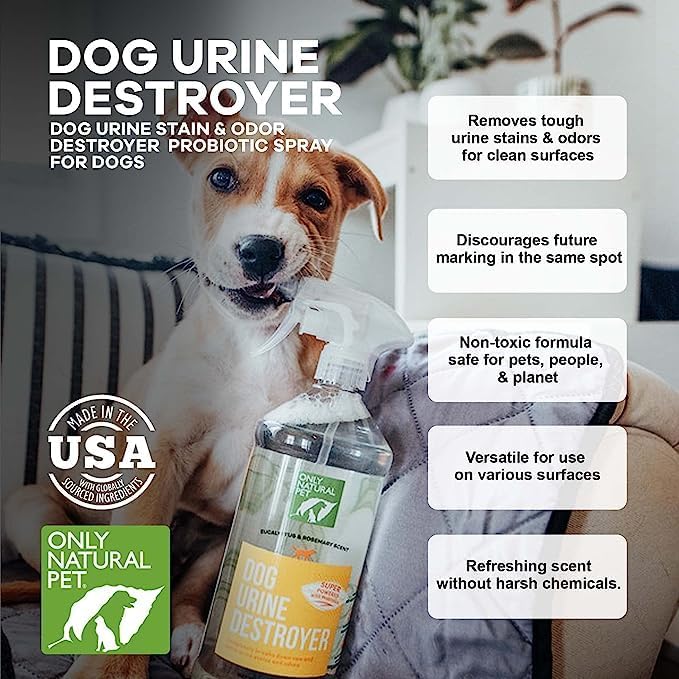 Only Natural Pet Enzyme Powered Stain &amp; Odor Eliminator - Professional Pet Urine Pee Cleaner Deodorizer for Dogs - Hardwood Floors Carpets Upholstery - Eucalyptus &amp; Rosemary Scent - 32Floz - 2 Pack
