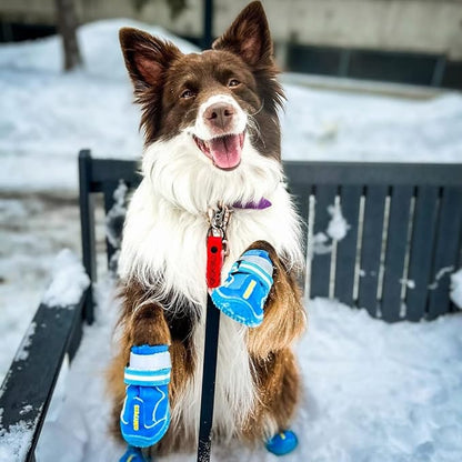 QUMY Dog Shoes for Large Dogs, Medium Dog Boots &amp; Paw Protectors for Winter Snowy Day, Summer Hot Pavement, Waterproof in Rainy Weather, Outdoor Walking, Indoor Hardfloors Anti Slip Sole Blue 8