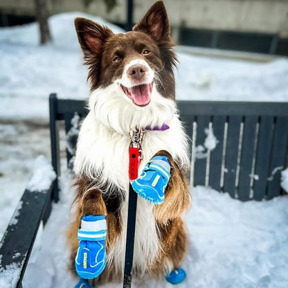 QUMY Dog Shoes for Large Dogs, Medium Dog Boots &amp; Paw Protectors for Winter Snowy Day, Summer Hot Pavement, Waterproof in Rainy Weather, Outdoor Walking, Indoor Hardfloors Anti Slip Sole Blue 4