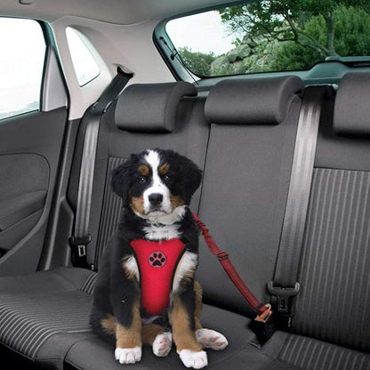 SlowTon Dog Seat Belt Harness for Car, Dog Car Harness Adjustable Mesh Breathable &amp; Dog Seatbelt Safety Tether with Elastic Bungee for Small Medium Large Pets(Red Seatbelt, Single Clip, XXXS)