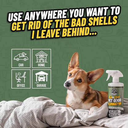 Ghosted Pet Odor Eliminator, Refresh Your Home, Car, Office, &amp; More, from Chemical Guys (32 Fl Oz) - Fresh Citrus Scent - PCS10232