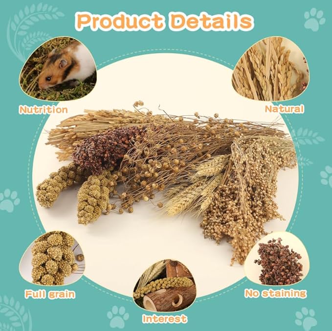 Hamster Spray Set - Natural Snack Grains &amp; Chew Toys for Cage Decoration Accessories, Soft Bedding for Dwarf Syrian Hamsters, Gerbils, Mice &amp; Small Pets
