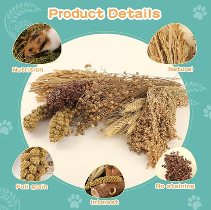 Hamster Spray Set - Natural Snack Grains &amp; Chew Toys for Cage Decoration Accessories, Soft Bedding for Dwarf Syrian Hamsters, Gerbils, Mice &amp; Small Pets