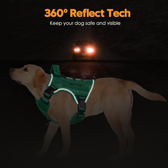 Heavy-Duty Tactical Dog Harness for Large Dogs, No Pull Adjustable Reflective Pet Vest with Molle System, K9 Military-Grade Control for Service Training, Outdoor &amp; 10+ Breeds, Turquoise, Small