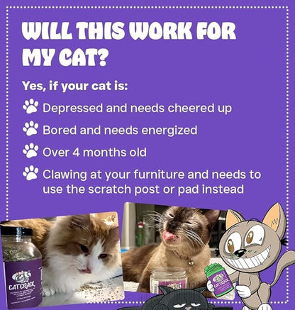 Cat Crack Organic Catnip, 100% Natural Cat Nips Organic Blend That Energizes and Excites Cats, Used for Cat Play, Training, &amp; New Catnip Toys (1 Cup)