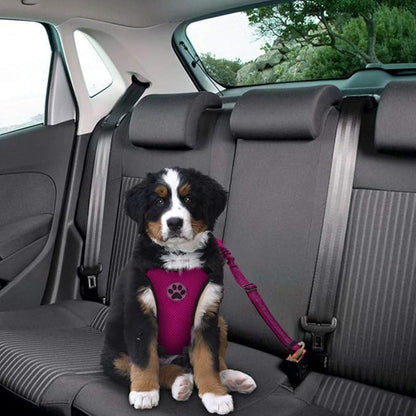 Lukovee Dog Seat Belt for Car, Adjustable Dog Car Harness for Large Medium Small Dogs, Soft Padded &amp; Breathable Mesh Dog Seatbelt with Car Vehicle Connector Strap (Rose Red,Small)