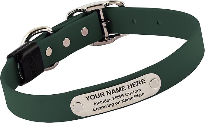 Biothane Custom Dog Collar – Waterproof, Stink-Proof Personalized Collar with Name &amp; Phone Number – Durable, Many Sizes and Colors – Assembled in USA (Forest Green)