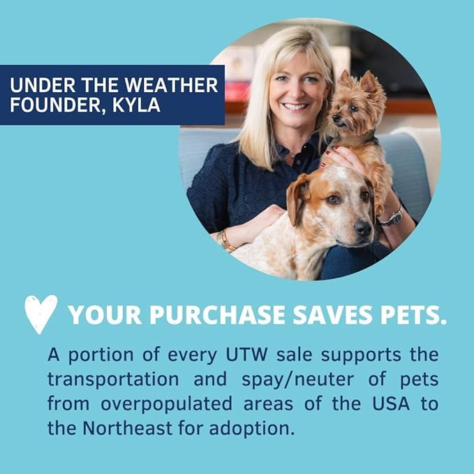 Under the Weather Pet | Ready Cal for Dogs 100cc | High Calorie Supplement | Dog Weight Gainer and High Calorie Booster | 10 Vitamins, 7 Minerals &amp; Omega Fatty Acids (2 Pack)
