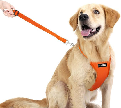 Dog Seat Belt, Safety Vest Dog Car Harness with Adjustable Buckle Dog Seat Belt for Vehicle Nylon Pet Safety Seat Belts Heavy Duty(M, Orange)