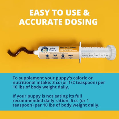 Under the Weather Pet | Ready Cal for Puppies 80cc | High Calorie Puppy Nutritional Supplement | Puppy Weight Gainer and High Calorie Booster | 10 Vitamins, 7 Minerals &amp; Omega Fatty Acids